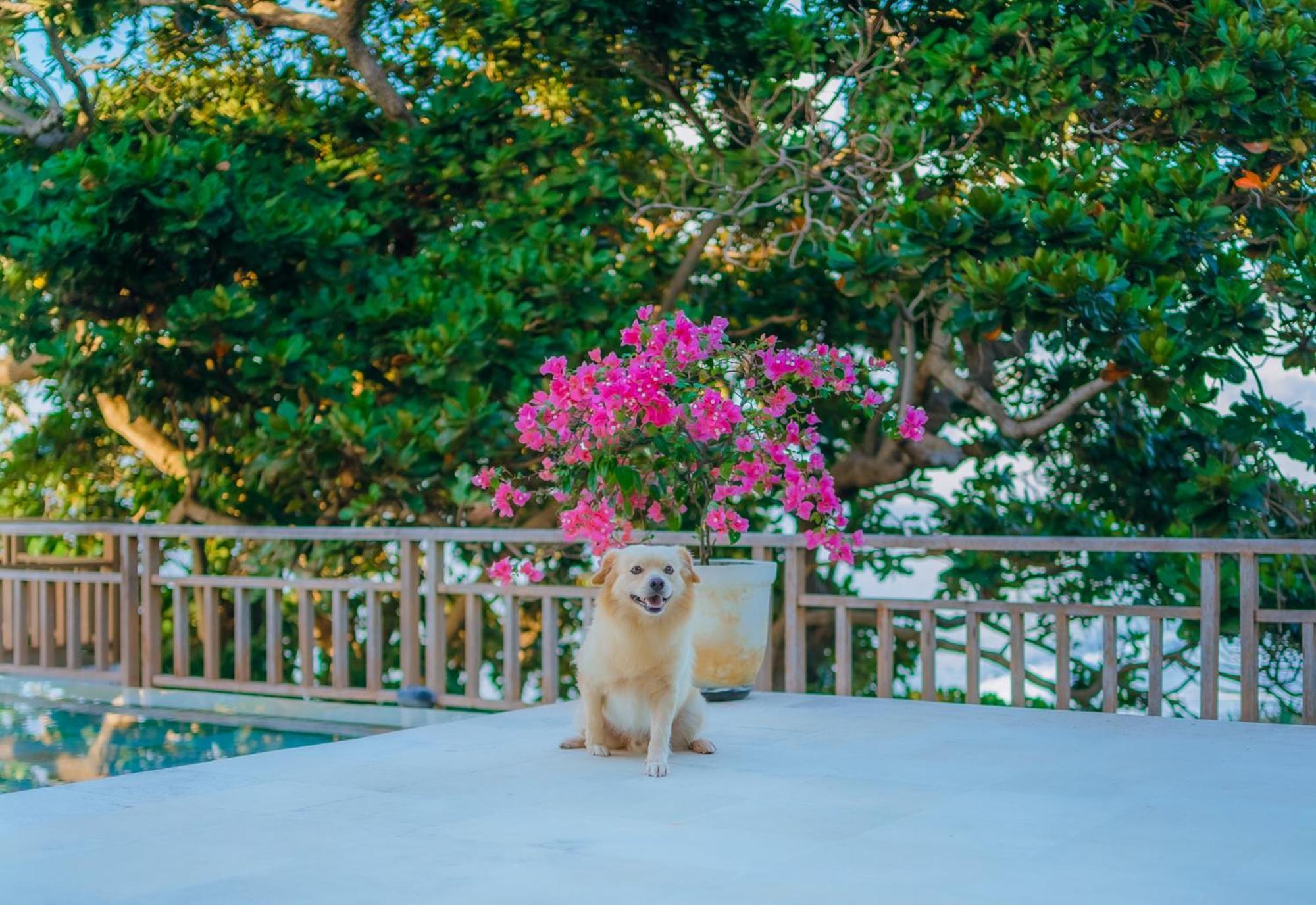 Raaga Samudra Villa パダンバイ エクステリア 写真
