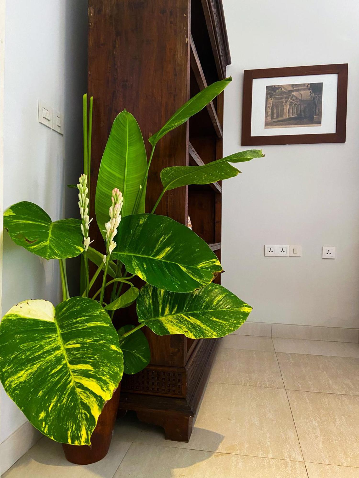 Raaga Samudra Villa パダンバイ エクステリア 写真
